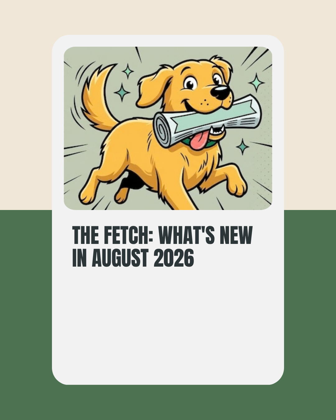 The Fetch: What's New in August 2026